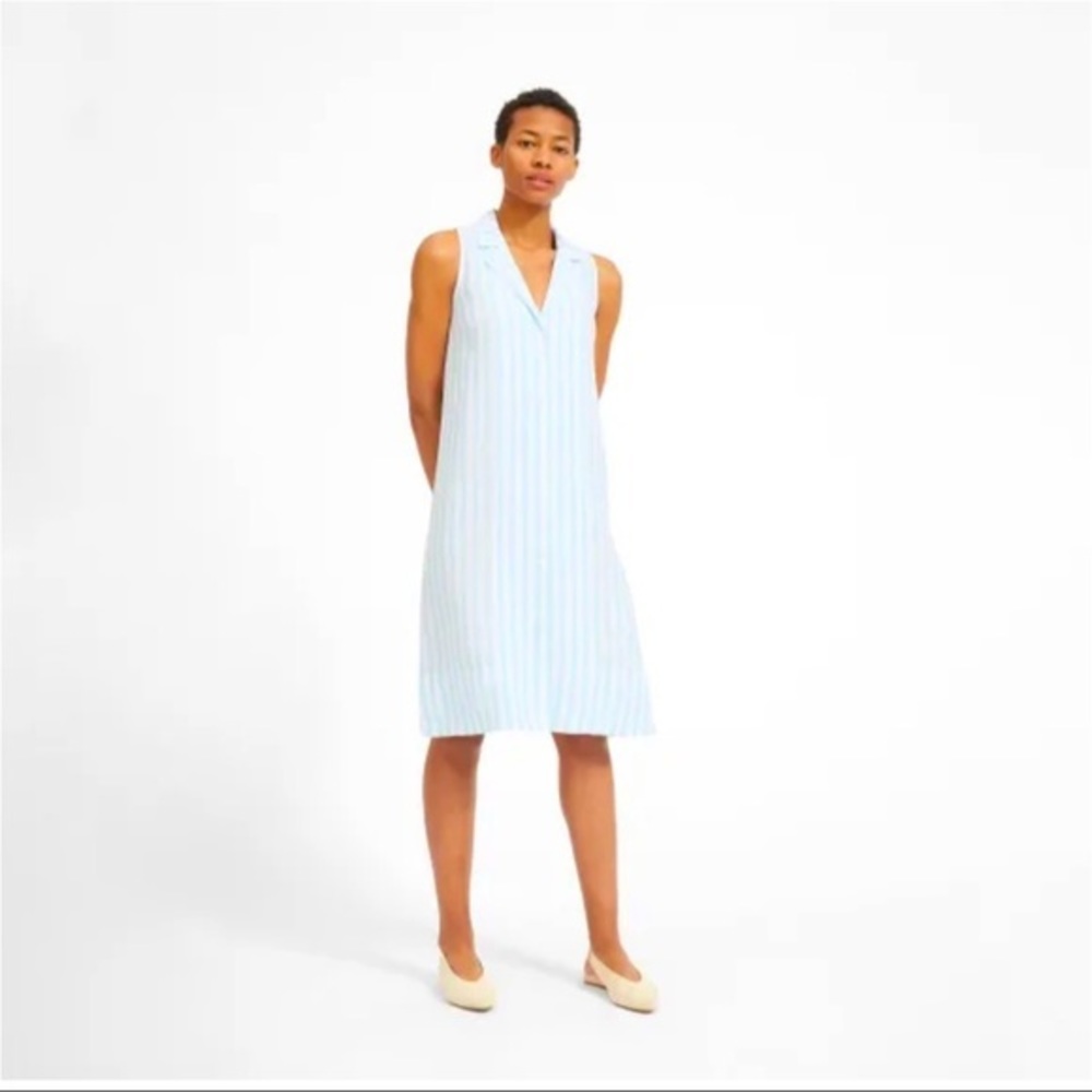 Everlane Sleeveless Striped Shirt Dress